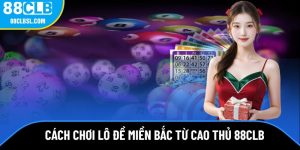 avt-cach-soi-lo-de-mien-bac